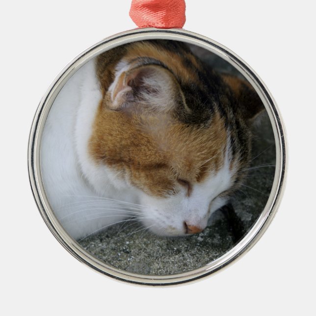 Sleepy Kitty Metal Tree Decoration (Front)