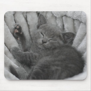 Sleepy kitty mouse pad