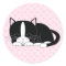 Sleepy Kitty {Tuxedo}