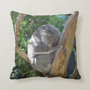 Sleepy Koala Cushion