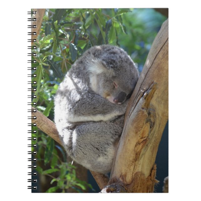 Sleepy Koala Notebook (Front)