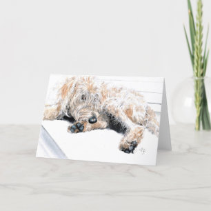 Sleepy Labradoodle Greeting Card