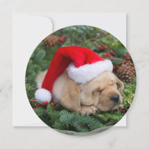 Sleepy Labrador Retriever Puppy With Santa Hat Holiday Card