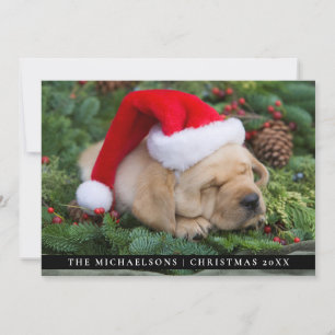 Sleepy Labrador Retriever Puppy With Santa Hat Holiday Card