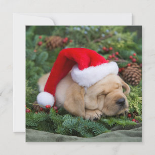 Sleepy Labrador Retriever Puppy With Santa Hat Holiday Card