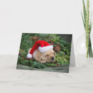 Sleepy Labrador Retriever Puppy With Santa Hat Holiday Card