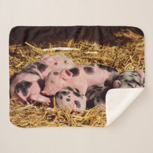 SLEEPY LITTLE PIGLETS SHERPA BLANKET