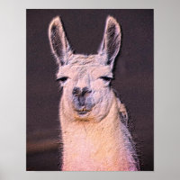 Sleepy Llama Face Animal Art  