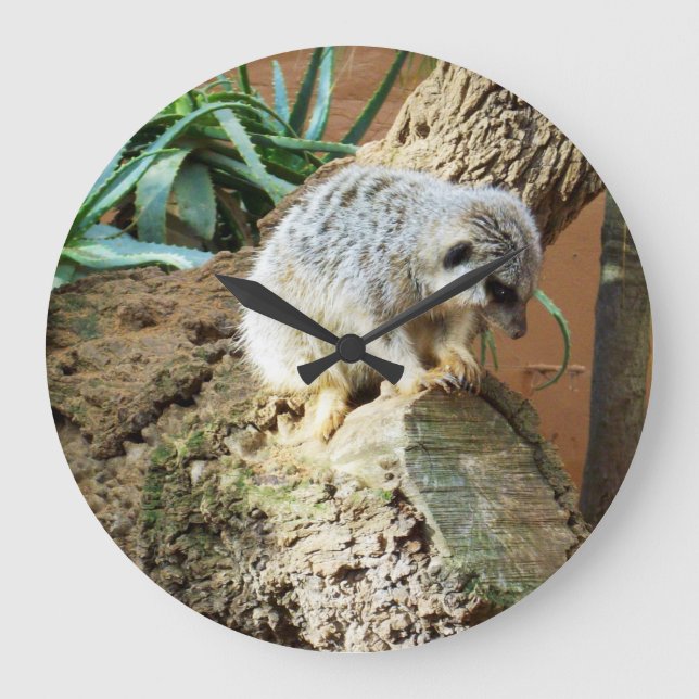Sleepy Meerkat On A Log, Large Clock (Front)