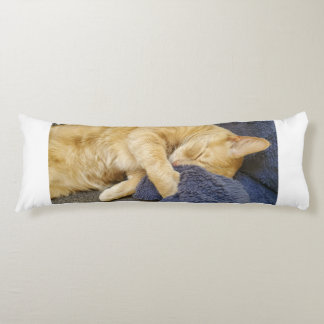 Sleepy Orange Cat Body Pillow