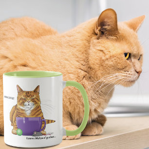 Sleepy Orange Ginger Cat Coffee Green Purple Mug