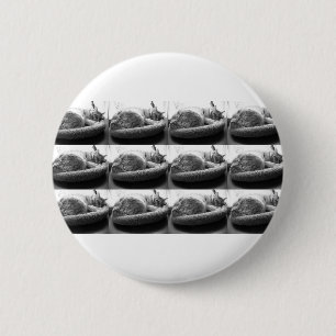 Sleepy Orange Tabby Cat/Black and White Photo 6 Cm Round Badge