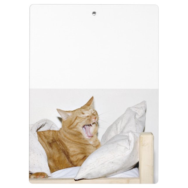 Sleepy orange tabby cat clipboard (Back)