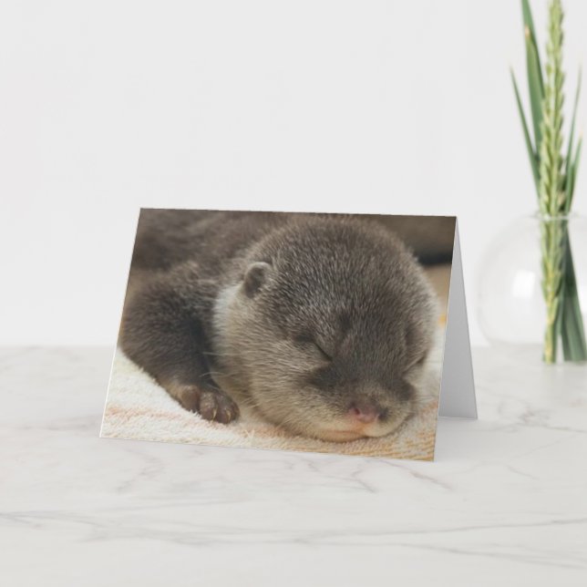 Sleepy Otter Card (Front)
