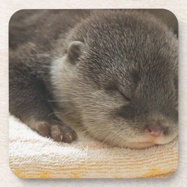 Sleepy Otter Coaster (Front)