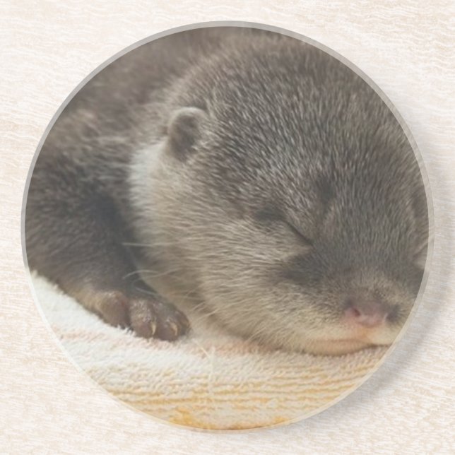 Sleepy Otter Coaster (Front)