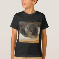 Sleepy Otter