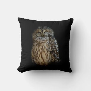 Sleepy Owl Cushion