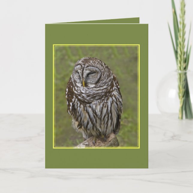 Sleepy Owl Greeting Card (Front)