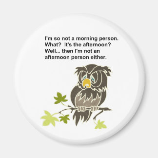 Sleepy Owl Magnet