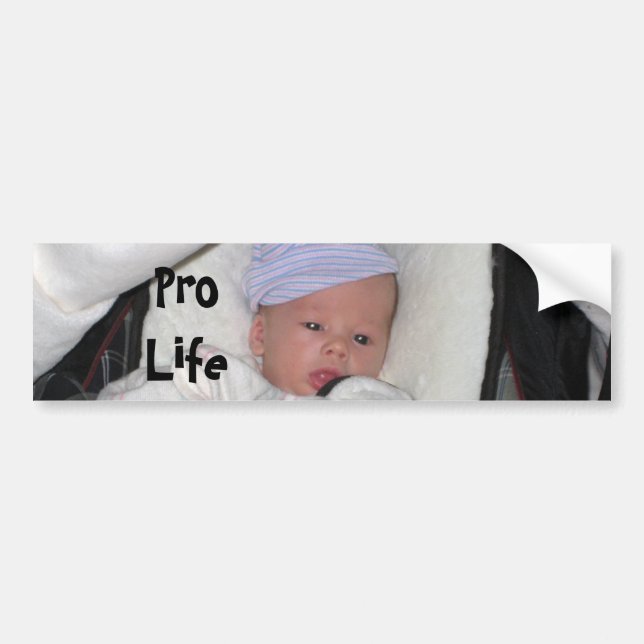 sleepy, Pro Life Bumper Sticker (Front)