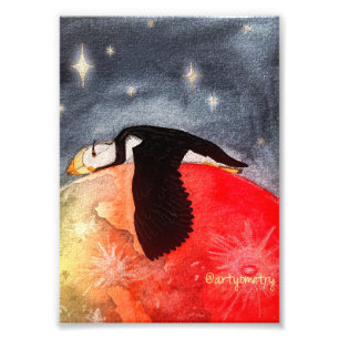 Sleepy Puffin Photo Print
