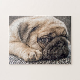 Sleepy Pug Jigsaw Puzzle