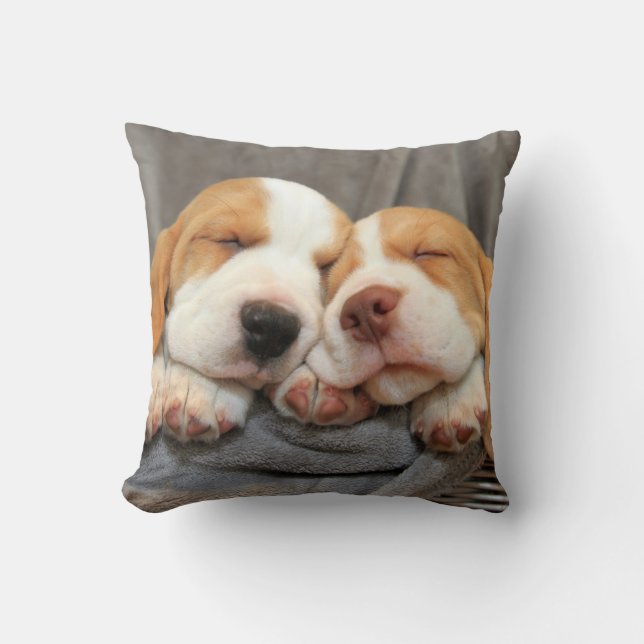 Sleepy Puppies Cushion (Front)