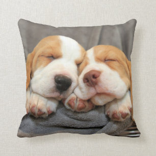 Sleepy Puppies Cushion