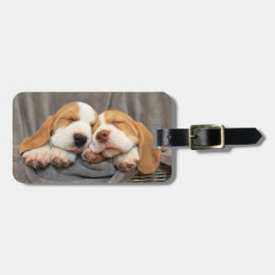 Sleepy Puppies Luggage Tag