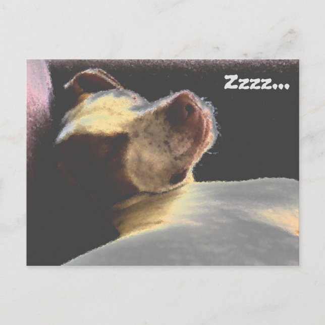 Sleepy Puppy Postcard (Front)