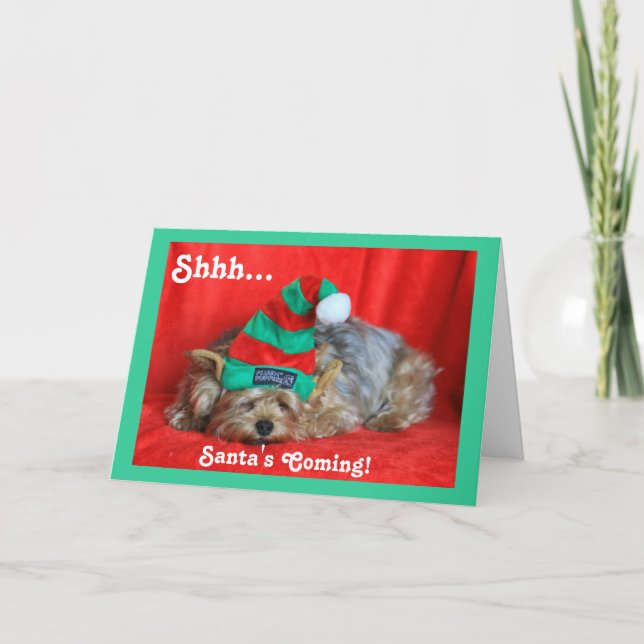 Sleepy Puppy Wearing Elf Hat Holiday Card (Front)