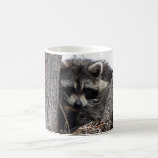 Sleepy Racoon Coffee Mug