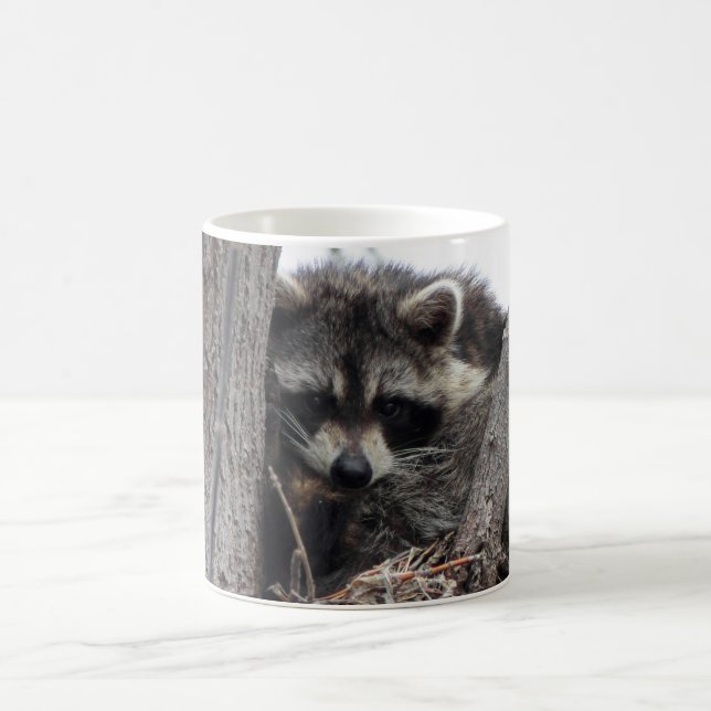 Sleepy Racoon Coffee Mug (Center)