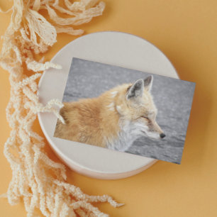 Sleepy Red Fox Funny Wildlife Birthday Card