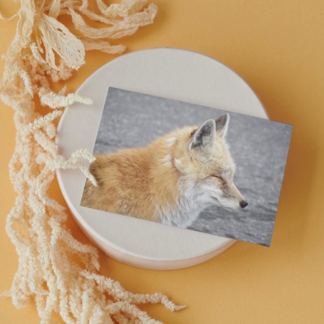 Sleepy Red Fox Funny Wildlife Birthday Card (In Situ)