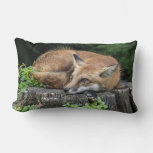 Sleepy Red Fox Lumbar Cushion