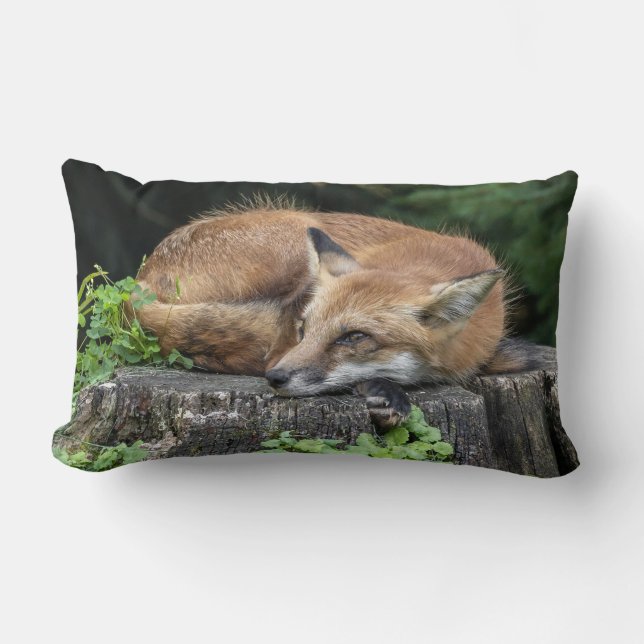 Sleepy Red Fox   Lumbar Cushion (Front)