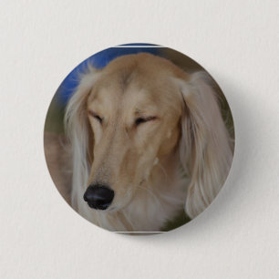 Sleepy Saluki Dog 6 Cm Round Badge