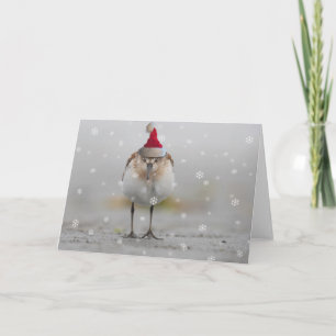Sleepy Sandpipers Christmas Card