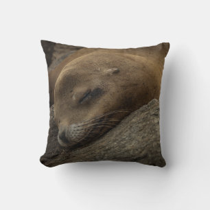 Sleepy Sea Lion - Sleeping Wildlife Photography Cushion
