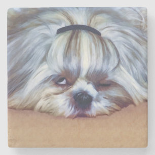 Sleepy Shih Tzu Dog Stone Coaster