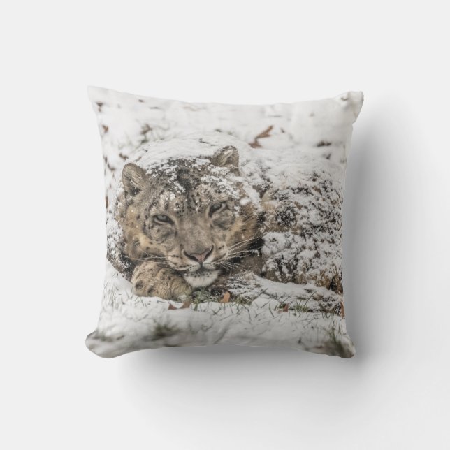 Sleepy Snow Leopard Cushion (Front)