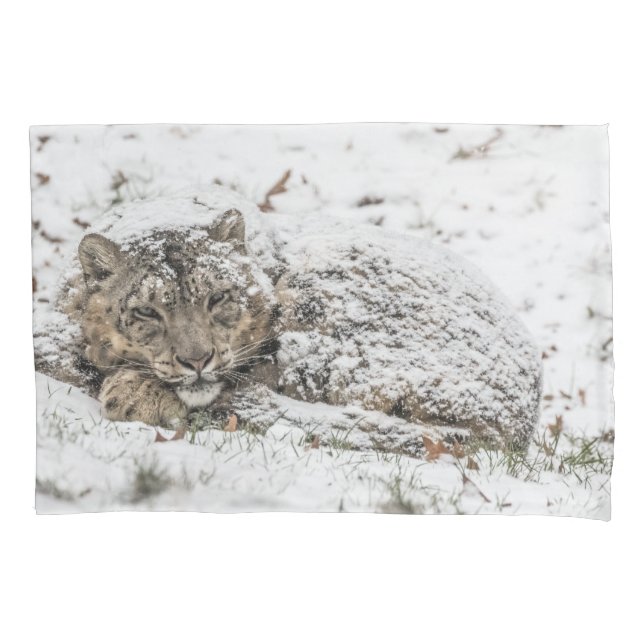 Sleepy Snow Leopard Pillowcase (Front)