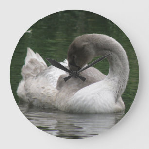 Sleepy Swan Clock