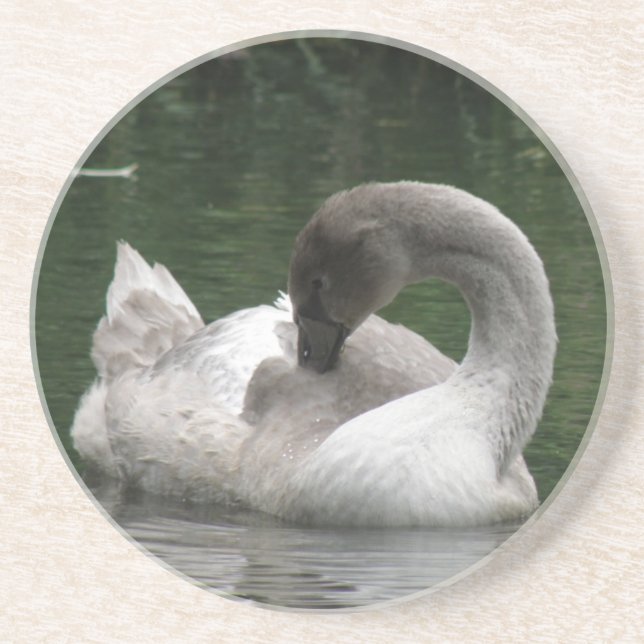 Sleepy Swan Coasters (Front)