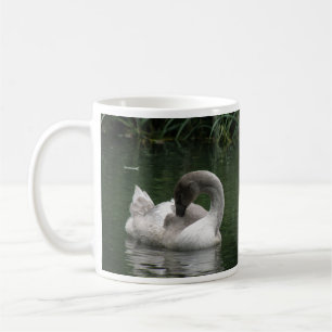 Sleepy Swan Mug