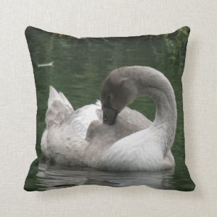 Sleepy Swan Pillow