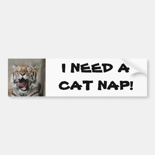 Sleepy Tiger Bumper Sticker (Front)