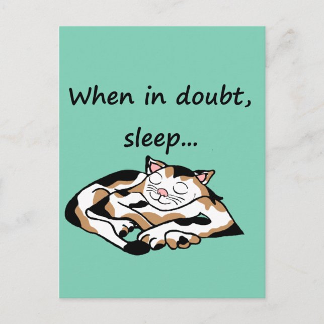 Sleepy Time Cat Postcard (Front)